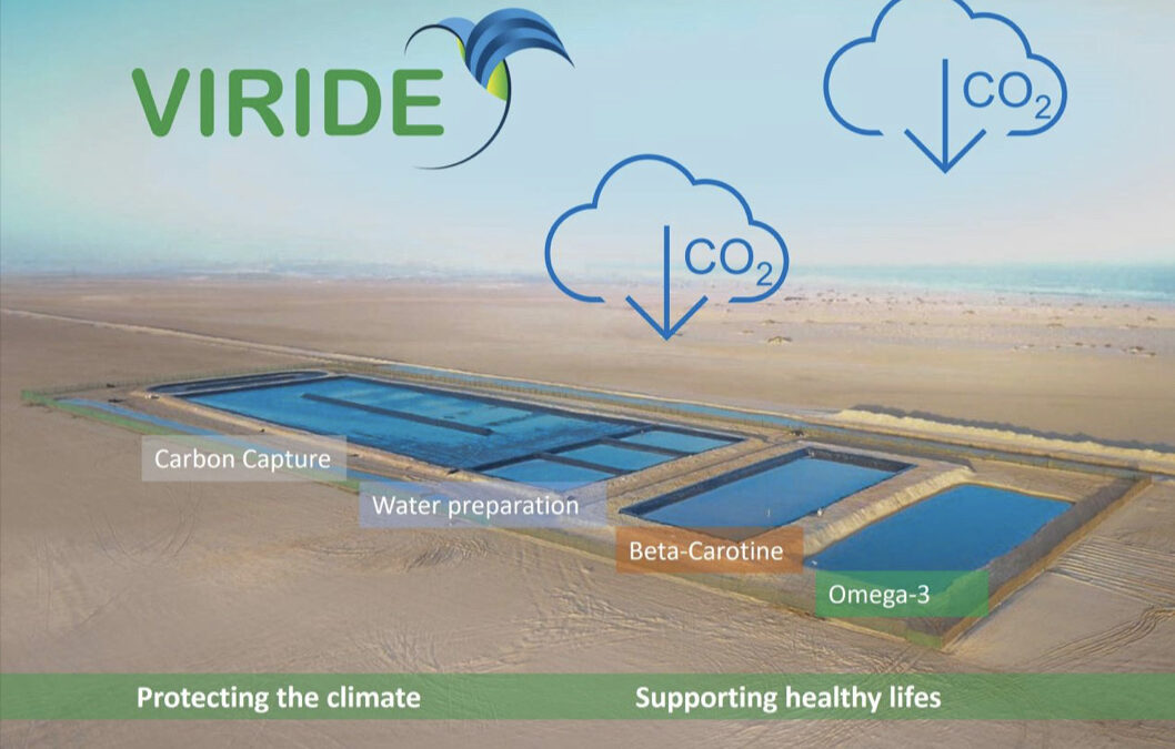 Viride’s holistic Approach to Algae Production